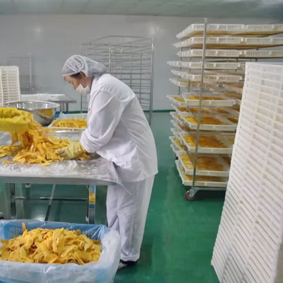 Commercial Food Dehydrator Processing Fruit and Vegetable Drying Machine Dried Fruit Machine