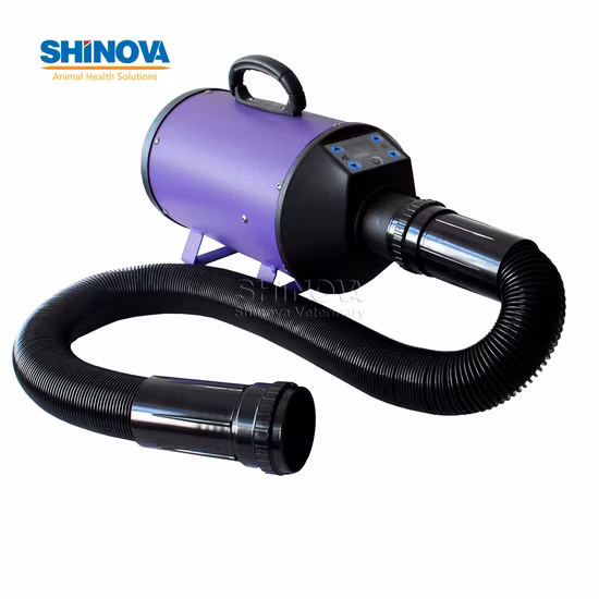 Charge Portable Mobile High Power Pet Grooming Finishing Hair Dryer