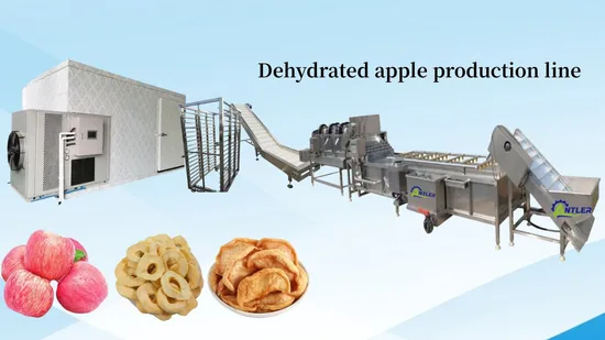 Commercial Food Dehydrator Processing Fruit and Vegetable Drying Machine Dried Fruit Machine