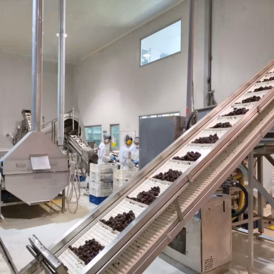 Commercial Food Dehydrator Processing Fruit and Vegetable Drying Machine Dried Fruit Machine