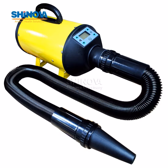 Charge Portable Mobile High Power Pet Grooming Finishing Hair Dryer