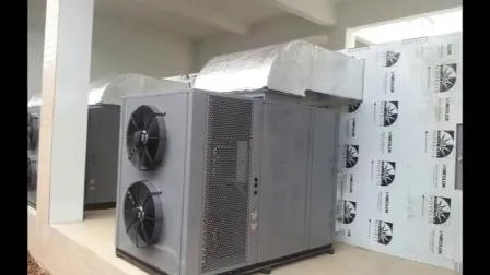 Electronic Food Dehydrator Ginger Dryer Machine Ginger Drying Cabinet