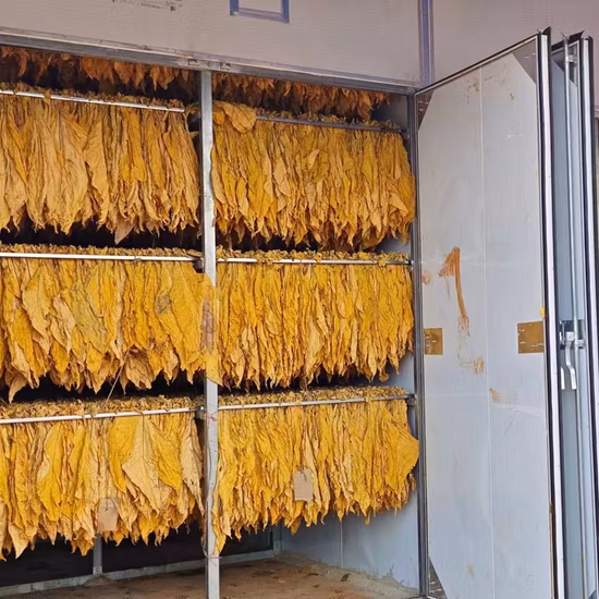 Steel Stainless Industrial Commercial Fruits Drying Machine Food Dehydrator Machine